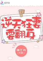 龙马海棠用哪个浏览器