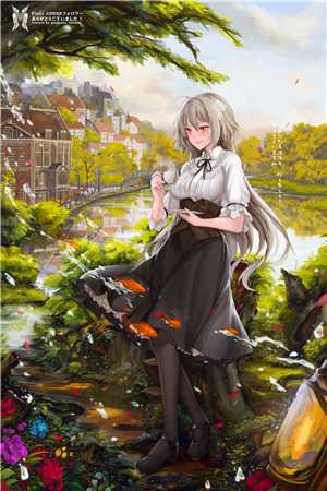 飞鸽传书软件