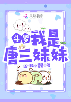 大掌覆上她胸前的柔软