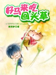 坏蛋是怎样炼成的2原野