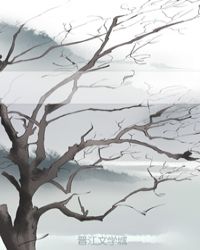次序无敌