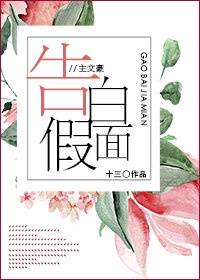 掌门三岁半
