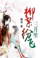重生之肖妞情史
