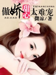 瓢虫雷迪全集