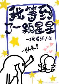 前方高能电视剧免费观看