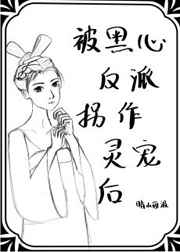 叛逆的鲁路修第二季