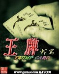 霸道总裁契约妻小说