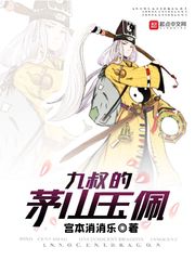 韶华为君嫁免费阅读