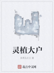 悖论 流苏