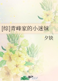 妻子的悲哀系列小说
