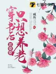 老年同志小说