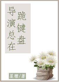 极品淑女