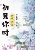 十世待君安txt