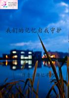 avnight破解版