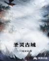 隐形将军电视剧全集