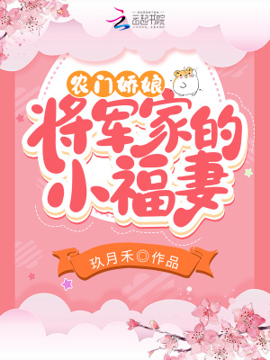 杨家将后传