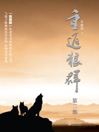 情迷辽王契丹宠妃