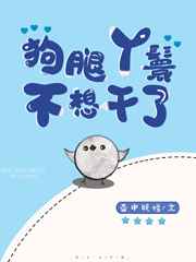 台版流星花园