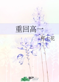女人的战争之女人的理由