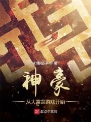 中老年女人播放器