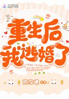 天啊我变成了龟