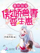 我的极品老婆电视剧完整版