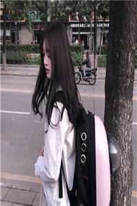 东宫西宫在线观看完整版