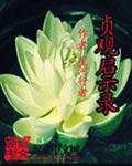 宫锁珠帘百合