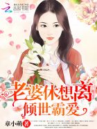 霸道总裁契约妻 小说