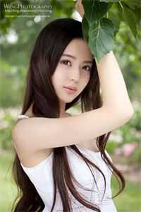 我的美女战队