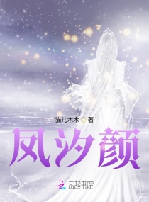 天启之王