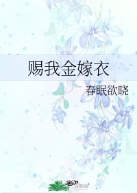 女人的下半身