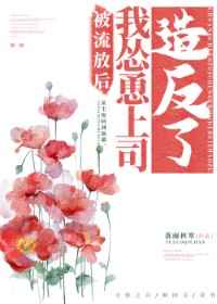 爱情公寓3免费观看