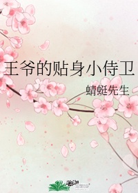 娇淫青春小说