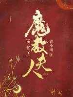 包拯电视剧