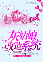 做瑷瑷瑷