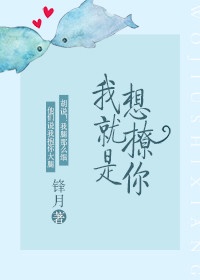 梁健项瑾