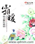 爆枪英雄游戏