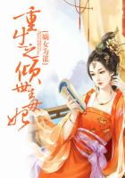 三宫椿