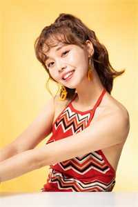 藏獒多吉