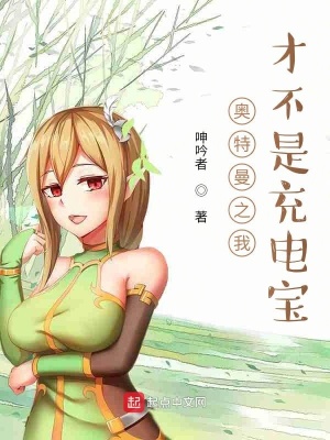 公公淫之手