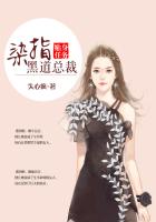 本子全彩里番之琉璃社