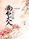 璩美凤光碟