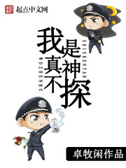 顾芒陆承洲免费阅读
