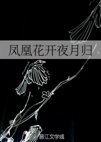 都市风月奇谭未删减txt下载