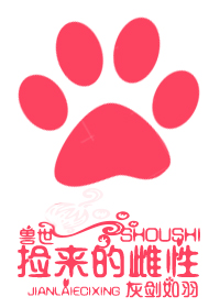 极限挑战2免费在线看