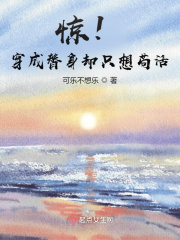 ddfnetwork丝袜