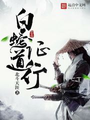 扫黑风暴免费在线观看