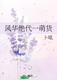 雁归西窗月在线全集免费观看