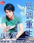 甄嬛传在线播放